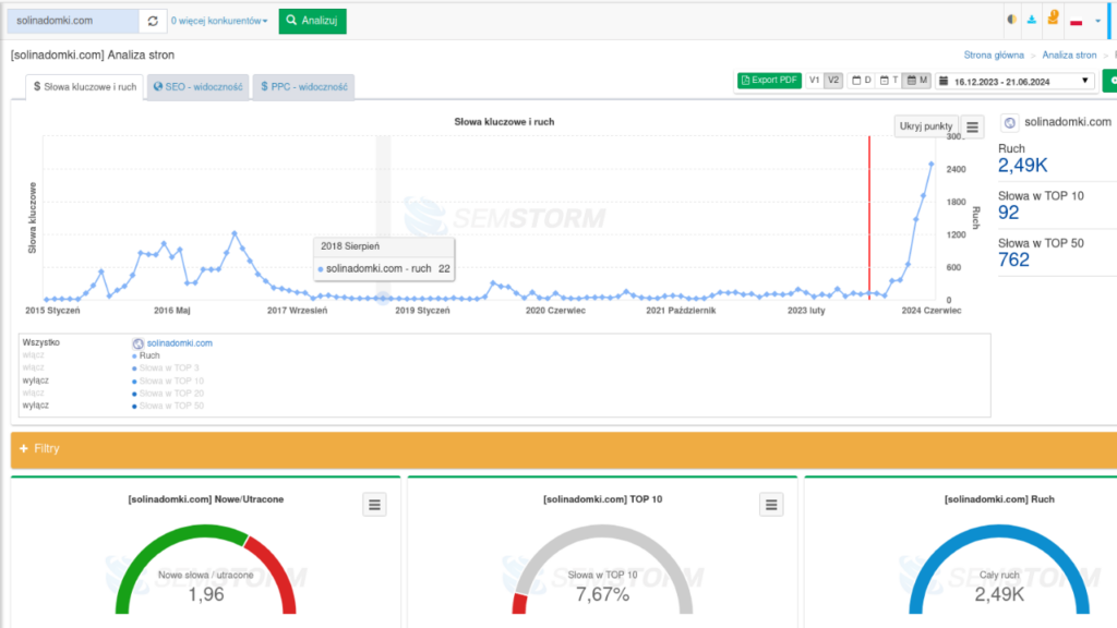 ANALITYKA - czerwiec 2024 - ruch na stronie