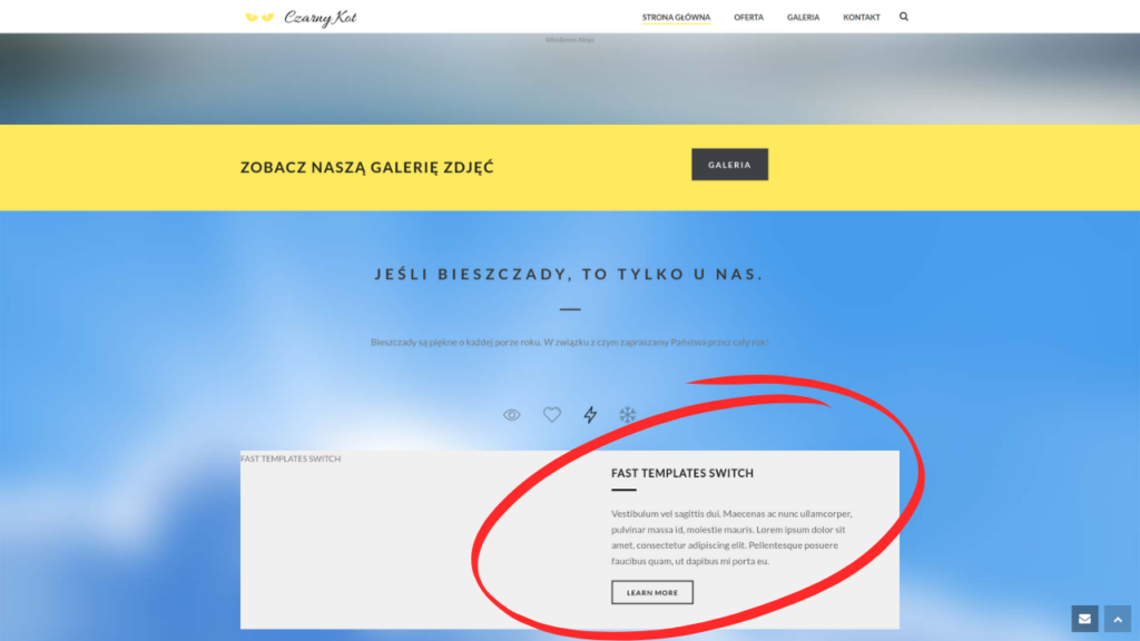 TAK WYGLĄDAŁA STRONA ,,OKOLICE" - Twórca strony nie dokończył jej, wyraźnie widać elementy które zawierał szablon, a webmaster nie wiedział co z tym zrobić lub zapomniał