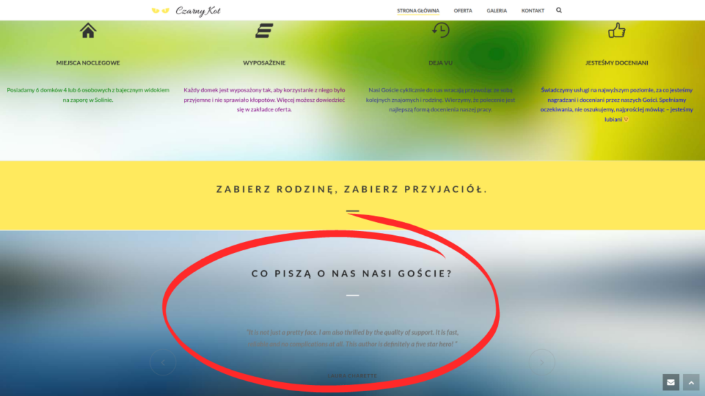 CASE STUDY - TAK KIEDYŚ WYGLĄDAŁY OPINIE - Zostały opinie wstawione z szablonu wordpress