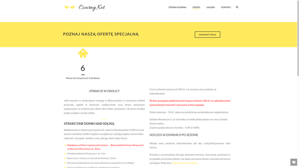 WARTOŚCI - Na stronie były podane najważniejsze wartości jednak były mało uwypuklone i mocno wymieszane