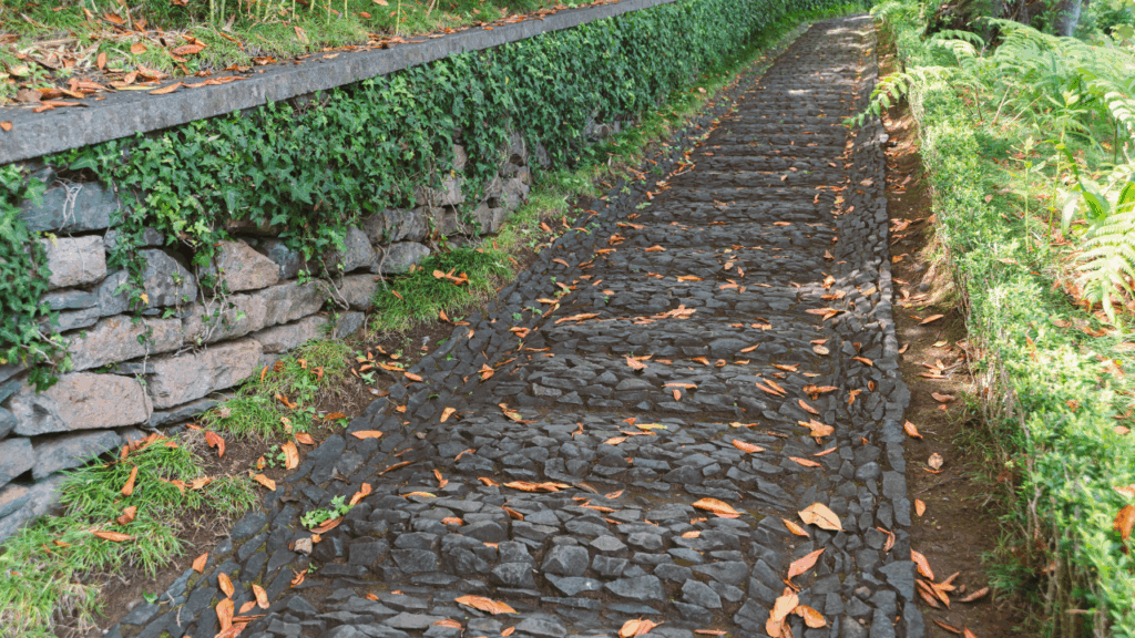 Obrazek przedstawia prostą drogę z kamieniami